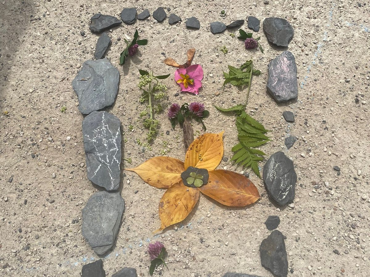 Éléments naturels utilisés pour une création de Land Art