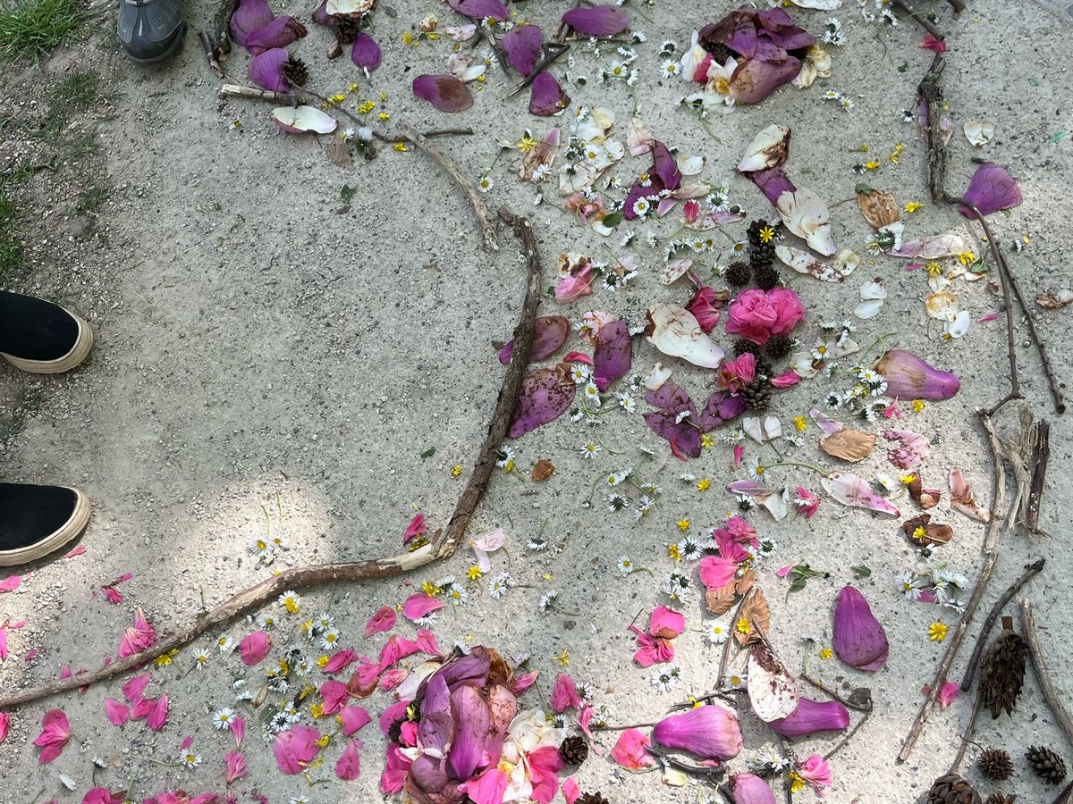 Composition naturelle créée lors d’un atelier Land Art