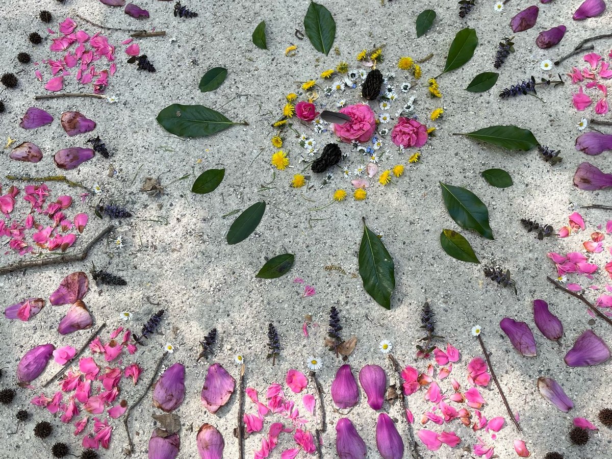 Composition de Land Art en plein air